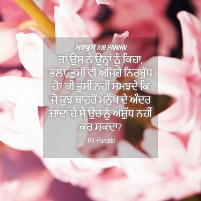 Picture 04 - ਮਰਕੁਸ 7:18 PANIRV - ਤਾਂ ਉਸ ਨੇ ਉਨ੍ਹਾਂ - Bible Verse Picture
