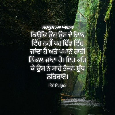Picture 04 - ਮਰਕੁਸ 7:19 PANIRV - ਕਿਉਂਕਿ ਉਹ ਉਸ ਦੇ ਦਿਲ - Bible Verse Picture