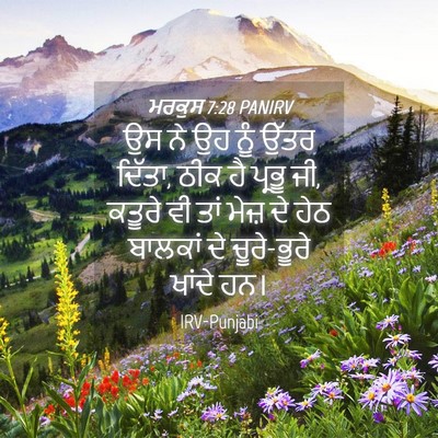 Picture 04 - ਮਰਕੁਸ 7:28 PANIRV - ਉਸ ਨੇ ਉਹ ਨੂੰ ਉੱਤਰ - Bible Verse Picture