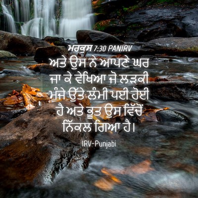 Picture 04 - ਮਰਕੁਸ 7:30 PANIRV - ਅਤੇ ਉਸ ਨੇ ਆਪਣੇ ਘਰ - Bible Verse Picture