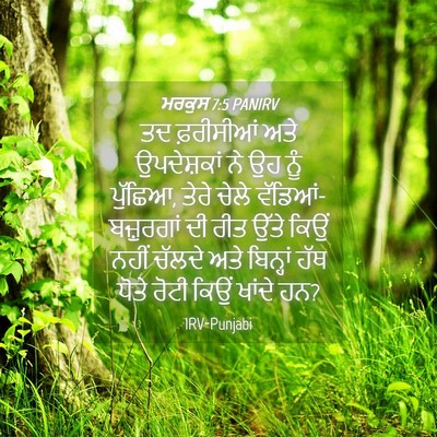 Picture 04 - ਮਰਕੁਸ 7:5 PANIRV - ਤਦ ਫ਼ਰੀਸੀਆਂ ਅਤੇ - Bible Verse Picture