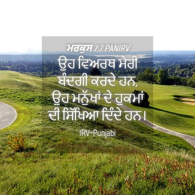 Picture 04 - ਮਰਕੁਸ 7:7 PANIRV - ਉਹ ਵਿਅਰਥ ਮੇਰੀ - Bible Verse Picture