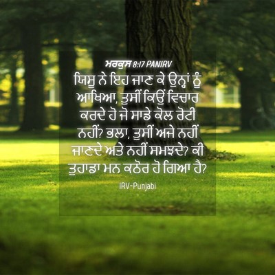 Picture 04 - ਮਰਕੁਸ 8:17 PANIRV - ਯਿਸੂ ਨੇ ਇਹ ਜਾਣ ਕੇ - Bible Verse Picture