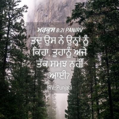Picture 04 - ਮਰਕੁਸ 8:21 PANIRV - ਤਦ ਉਸ ਨੇ ਉਨ੍ਹਾਂ ਨੂੰ - Bible Verse Picture