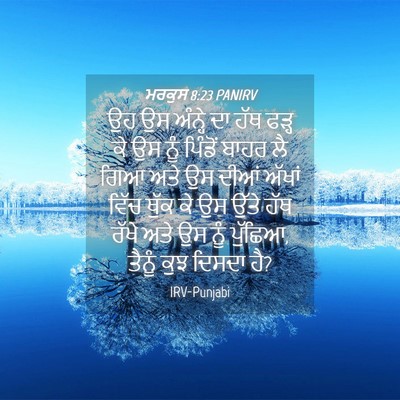 Picture 04 - ਮਰਕੁਸ 8:23 PANIRV - ਉਹ ਉਸ ਅੰਨ੍ਹੇ ਦਾ ਹੱਥ - Bible Verse Picture