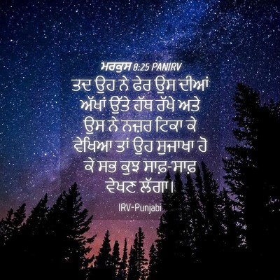 Picture 04 - ਮਰਕੁਸ 8:25 PANIRV - ਤਦ ਉਹ ਨੇ ਫੇਰ ਉਸ - Bible Verse Picture