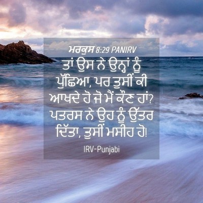 Picture 04 - ਮਰਕੁਸ 8:29 PANIRV - ਤਾਂ ਉਸ ਨੇ ਉਨ੍ਹਾਂ - Bible Verse Picture