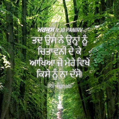Picture 04 - ਮਰਕੁਸ 8:30 PANIRV - ਤਦ ਉਸ ਨੇ ਉਨ੍ਹਾਂ ਨੂੰ - Bible Verse Picture