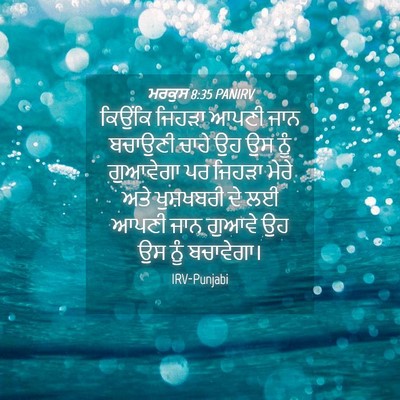 Picture 04 - ਮਰਕੁਸ 8:35 PANIRV - ਕਿਉਂਕਿ ਜਿਹੜਾ ਆਪਣੀ - Bible Verse Picture