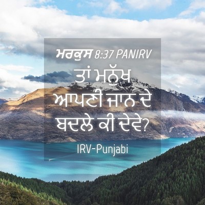 Picture 04 - ਮਰਕੁਸ 8:37 PANIRV - ਤਾਂ ਮਨੁੱਖ ਆਪਣੀ ਜਾਨ - Bible Verse Picture