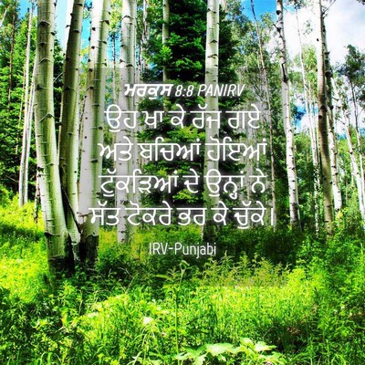 Picture 04 - ਮਰਕੁਸ 8:8 PANIRV - ਉਹ ਖਾ ਕੇ ਰੱਜ ਗਏ ਅਤੇ - Bible Verse Picture