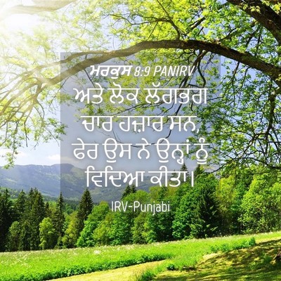 Picture 04 - ਮਰਕੁਸ 8:9 PANIRV - ਅਤੇ ਲੋਕ ਲੱਗਭਗ ਚਾਰ - Bible Verse Picture