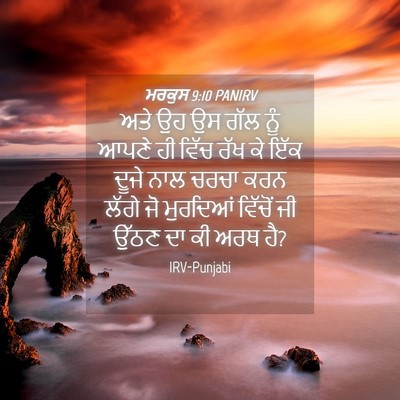 Picture 04 - ਮਰਕੁਸ 9:10 PANIRV - ਅਤੇ ਉਹ ਉਸ ਗੱਲ ਨੂੰ - Bible Verse Picture