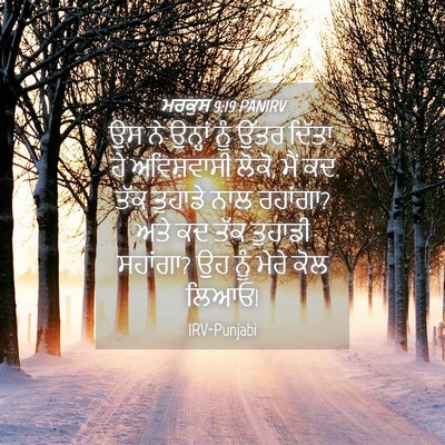 Picture 04 - ਮਰਕੁਸ 9:19 PANIRV - ਉਸ ਨੇ ਉਨ੍ਹਾਂ ਨੂੰ - Bible Verse Picture