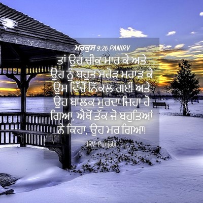 Picture 04 - ਮਰਕੁਸ 9:26 PANIRV - ਤਾਂ ਉਹ ਚੀਕ ਮਾਰ ਕੇ - Bible Verse Picture
