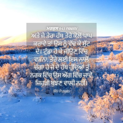 Picture 04 - ਮਰਕੁਸ 9:43 PANIRV - ਅਤੇ ਜੇ ਤੇਰਾ ਹੱਥ - Bible Verse Picture