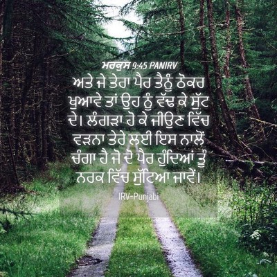 Picture 04 - ਮਰਕੁਸ 9:45 PANIRV - ਅਤੇ ਜੇ ਤੇਰਾ ਪੈਰ - Bible Verse Picture