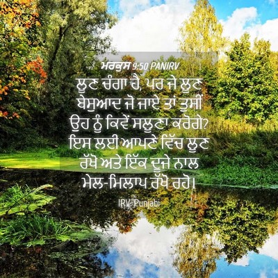 Picture 04 - ਮਰਕੁਸ 9:50 PANIRV - ਲੂਣ ਚੰਗਾ ਹੈ, ਪਰ ਜੇ - Bible Verse Picture