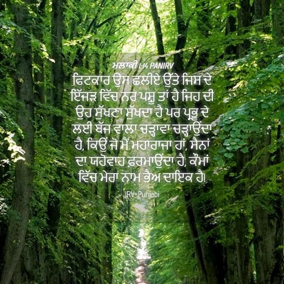 Picture 04 - ਮਲਾਕੀ 1:14 PANIRV - ਫਿਟਕਾਰ ਉਸ ਛਲੀਏ - Bible Verse Picture