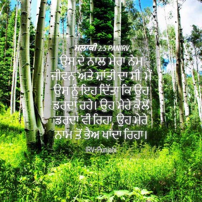 Picture 04 - ਮਲਾਕੀ 2:5 PANIRV - ਉਸ ਦੇ ਨਾਲ ਮੇਰਾ ਨੇਮ - Bible Verse Picture