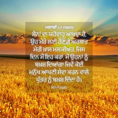 Picture 04 - ਮਲਾਕੀ 3:17 PANIRV - ਸੈਨਾਂ ਦਾ ਯਹੋਵਾਹ - Bible Verse Picture