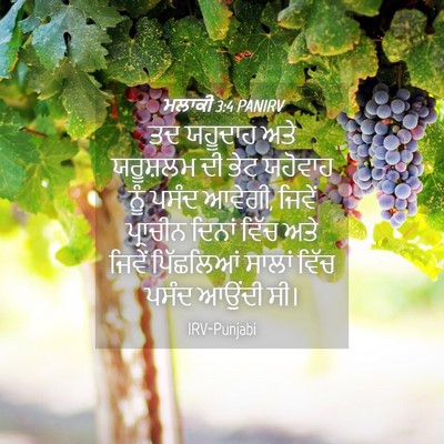Picture 04 - ਮਲਾਕੀ 3:4 PANIRV - ਤਦ ਯਹੂਦਾਹ ਅਤੇ - Bible Verse Picture