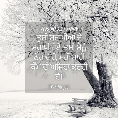 Picture 04 - ਮਲਾਕੀ 3:9 PANIRV - ਤੁਸੀਂ ਸਰਾਪੀਆਂ ਦੇ - Bible Verse Picture