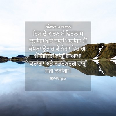 Picture 04 - ਮੀਕਾਹ 1:8 PANIRV - ਇਸ ਦੇ ਕਾਰਨ ਮੈਂ - Bible Verse Picture