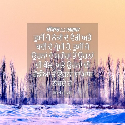 Picture 04 - ਮੀਕਾਹ 3:2 PANIRV - ਤੁਸੀਂ ਜੋ ਨੇਕੀ ਦੇ - Bible Verse Picture