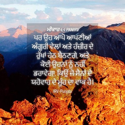 Picture 04 - ਮੀਕਾਹ 4:4 PANIRV - ਪਰ ਉਹ ਆਪੋ ਆਪਣੀਆਂ - Bible Verse Picture