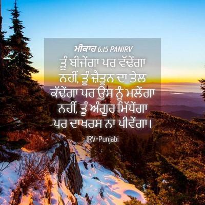 Picture 04 - ਮੀਕਾਹ 6:15 PANIRV - ਤੂੰ ਬੀਜੇਂਗਾ ਪਰ - Bible Verse Picture