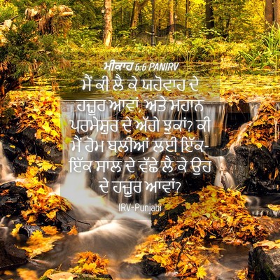 Picture 04 - ਮੀਕਾਹ 6:6 PANIRV - ਮੈਂ ਕੀ ਲੈ ਕੇ ਯਹੋਵਾਹ - Bible Verse Picture