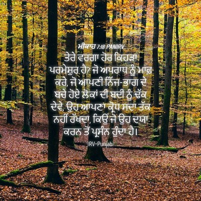 Picture 04 - ਮੀਕਾਹ 7:18 PANIRV - ਤੇਰੇ ਵਰਗਾ ਹੋਰ - Bible Verse Picture