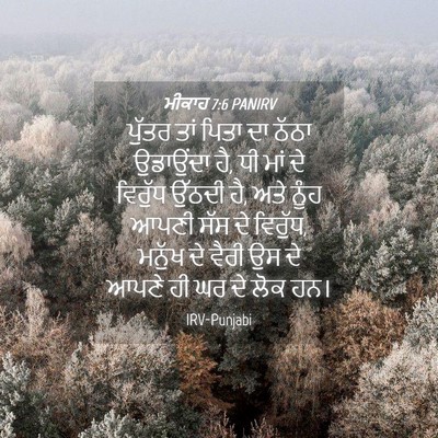 Picture 04 - ਮੀਕਾਹ 7:6 PANIRV - ਪੁੱਤਰ ਤਾਂ ਪਿਤਾ ਦਾ - Bible Verse Picture