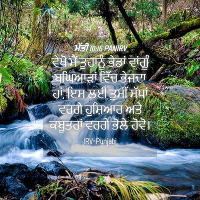 Picture 04 - ਮੱਤੀ 10:16 PANIRV - ਵੇਖੋ ਮੈਂ ਤੁਹਾਨੂੰ - Bible Verse Picture