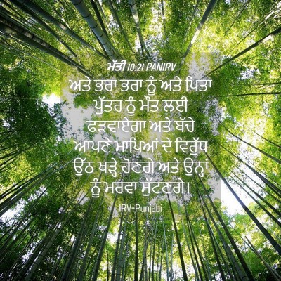 Picture 04 - ਮੱਤੀ 10:21 PANIRV - ਅਤੇ ਭਰਾ ਭਰਾ ਨੂੰ ਅਤੇ - Bible Verse Picture