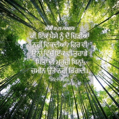 Picture 04 - ਮੱਤੀ 10:29 PANIRV - ਕੀ, ਇੱਕ ਪੈਸੇ ਨੂੰ ਦੋ - Bible Verse Picture