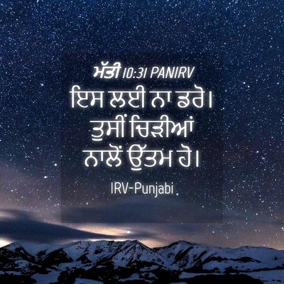 Picture 04 - ਮੱਤੀ 10:31 PANIRV - ਇਸ ਲਈ ਨਾ ਡਰੋ। ਤੁਸੀਂ - Bible Verse Picture
