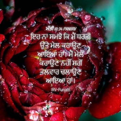 Picture 04 - ਮੱਤੀ 10:34 PANIRV - ਇਹ ਨਾ ਸਮਝੋ ਕਿ ਮੈਂ - Bible Verse Picture