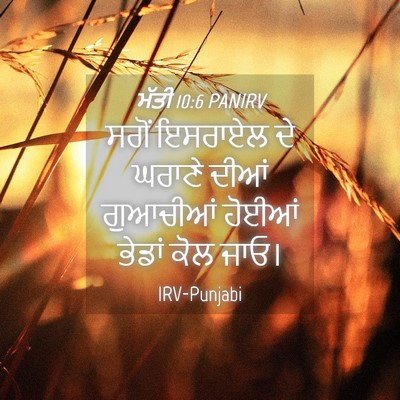 Picture 04 - ਮੱਤੀ 10:6 PANIRV - ਸਗੋਂ ਇਸਰਾਏਲ ਦੇ - Bible Verse Picture
