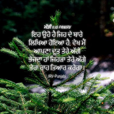 Picture 04 - ਮੱਤੀ 11:10 PANIRV - ਇਹ ਉਹੋ ਹੈ ਜਿਹ ਦੇ - Bible Verse Picture