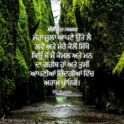 Picture 04 - ਮੱਤੀ 11:29 PANIRV - ਮੇਰਾ ਜੂਲਾ ਆਪਣੇ - Bible Verse Picture