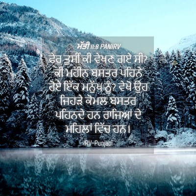 Picture 04 - ਮੱਤੀ 11:8 PANIRV - ਫੇਰ ਤੁਸੀਂ ਕੀ ਵੇਖਣ - Bible Verse Picture