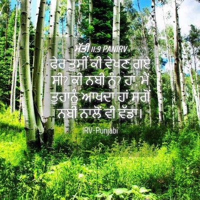 Picture 04 - ਮੱਤੀ 11:9 PANIRV - ਫੇਰ ਤੁਸੀਂ ਕੀ ਵੇਖਣ - Bible Verse Picture