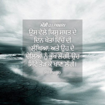 Picture 04 - ਮੱਤੀ 12:1 PANIRV - ਉਸ ਵੇਲੇ ਯਿਸੂ ਸਬਤ ਦੇ - Bible Verse Picture