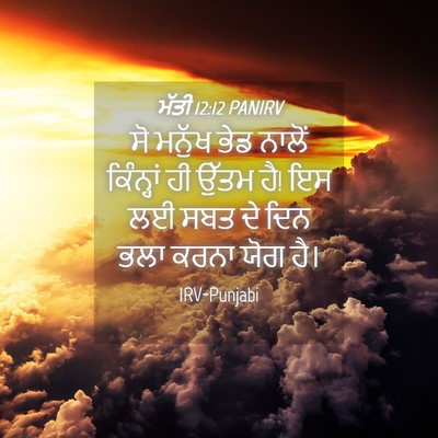 Picture 04 - ਮੱਤੀ 12:12 PANIRV - ਸੋ ਮਨੁੱਖ ਭੇਡ ਨਾਲੋਂ - Bible Verse Picture