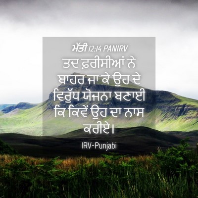 Picture 04 - ਮੱਤੀ 12:14 PANIRV - ਤਦ ਫ਼ਰੀਸੀਆਂ ਨੇ - Bible Verse Picture