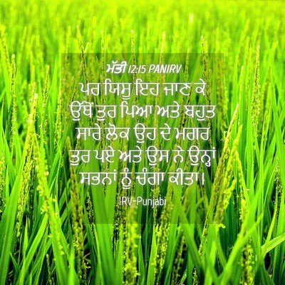 Picture 04 - ਮੱਤੀ 12:15 PANIRV - ਪਰ ਯਿਸੂ ਇਹ ਜਾਣ ਕੇ - Bible Verse Picture