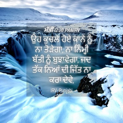 Picture 04 - ਮੱਤੀ 12:20 PANIRV - ਉਹ ਕੁਚਲੇ ਹੋਏ ਕਾਨੇ - Bible Verse Picture