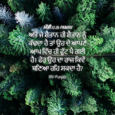 Picture 04 - ਮੱਤੀ 12:26 PANIRV - ਅਤੇ ਜੇ ਸ਼ੈਤਾਨ ਹੀ - Bible Verse Picture